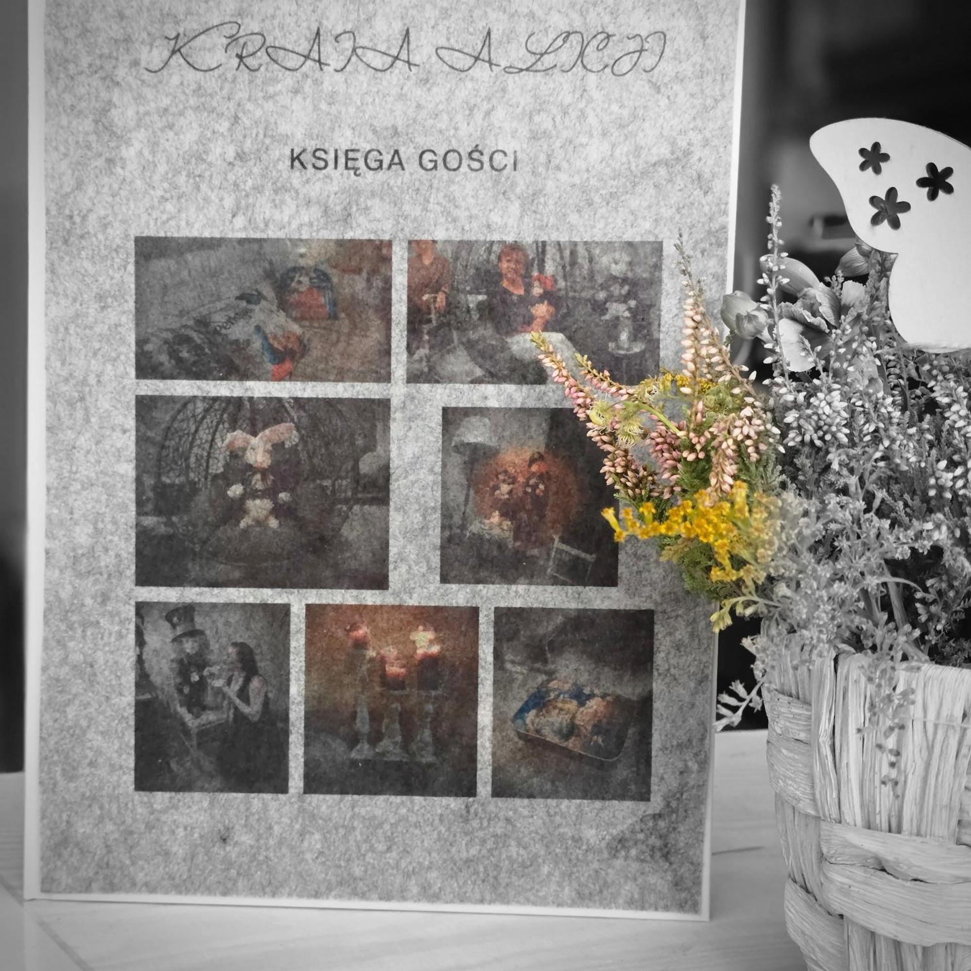 ,,kraina Alicji